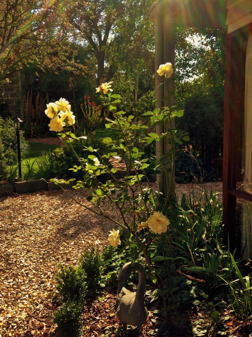 Bindley House B&B Cottage Kilmore Экстерьер фото